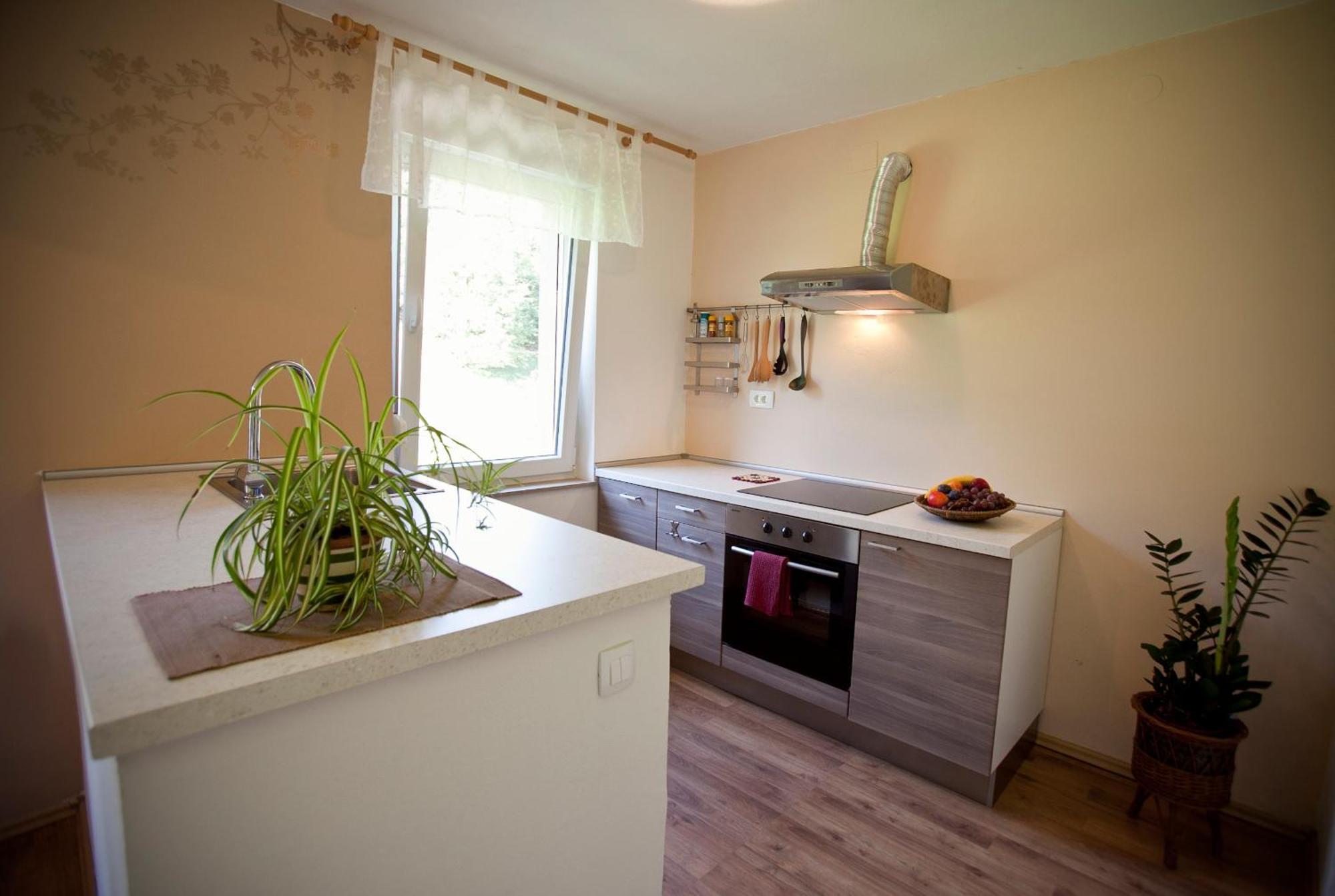 Apartments Soca Kobarid Kültér fotó